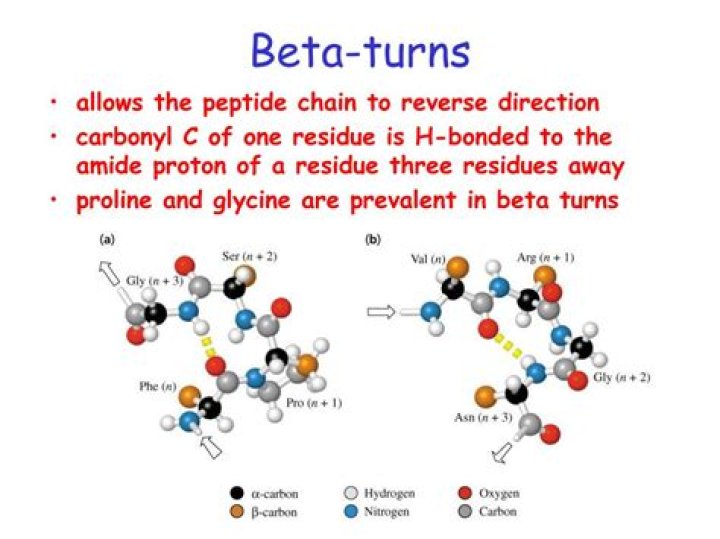What causes beta turns