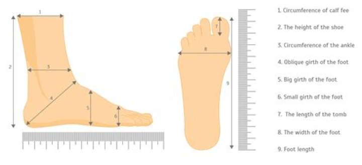 What do toe sizes mean